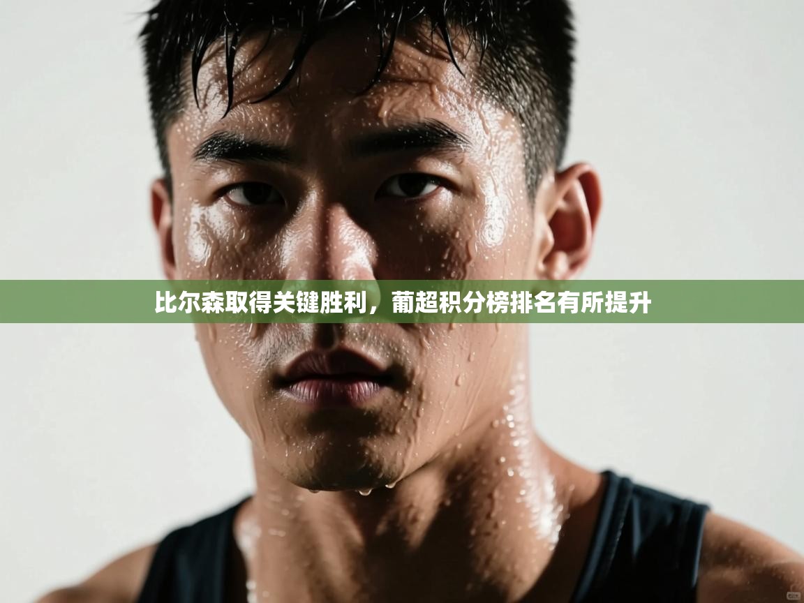 比尔森取得关键胜利,葡超积分榜排名有所提升 第2张