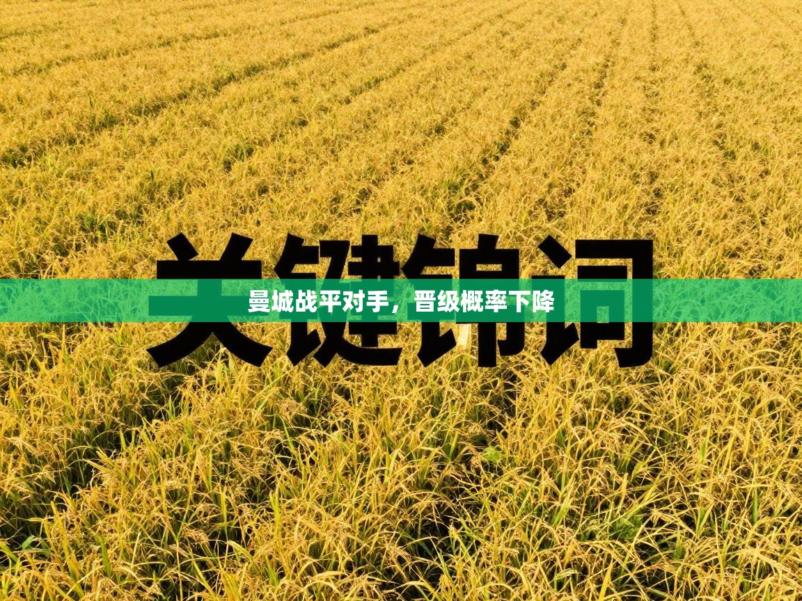 曼城战平对手,晋级概率下降 第1张